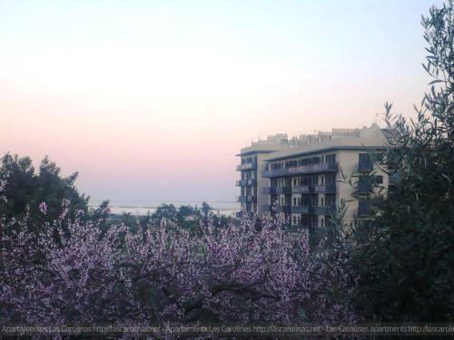 Apartaments Las Carolinas Sant Carlos de la Ràpita Εξωτερικό φωτογραφία